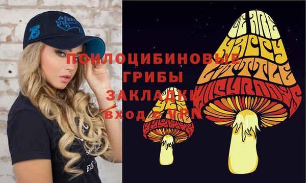 синтетический гашиш Алексин