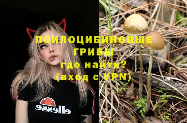 дмт Алзамай