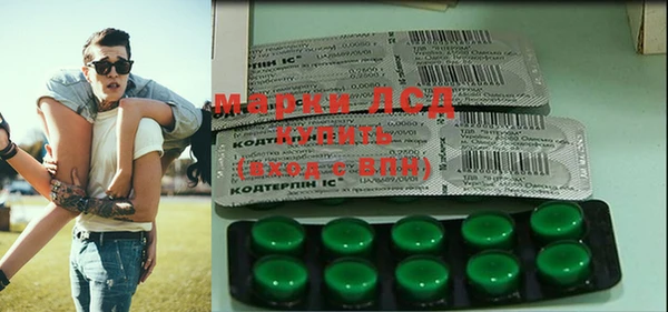 дмт Алзамай